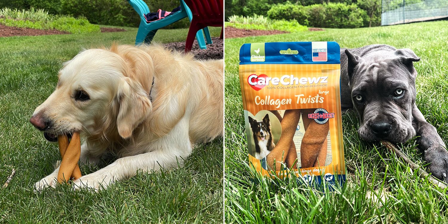 Dogs with Pet Factory beefhide chews